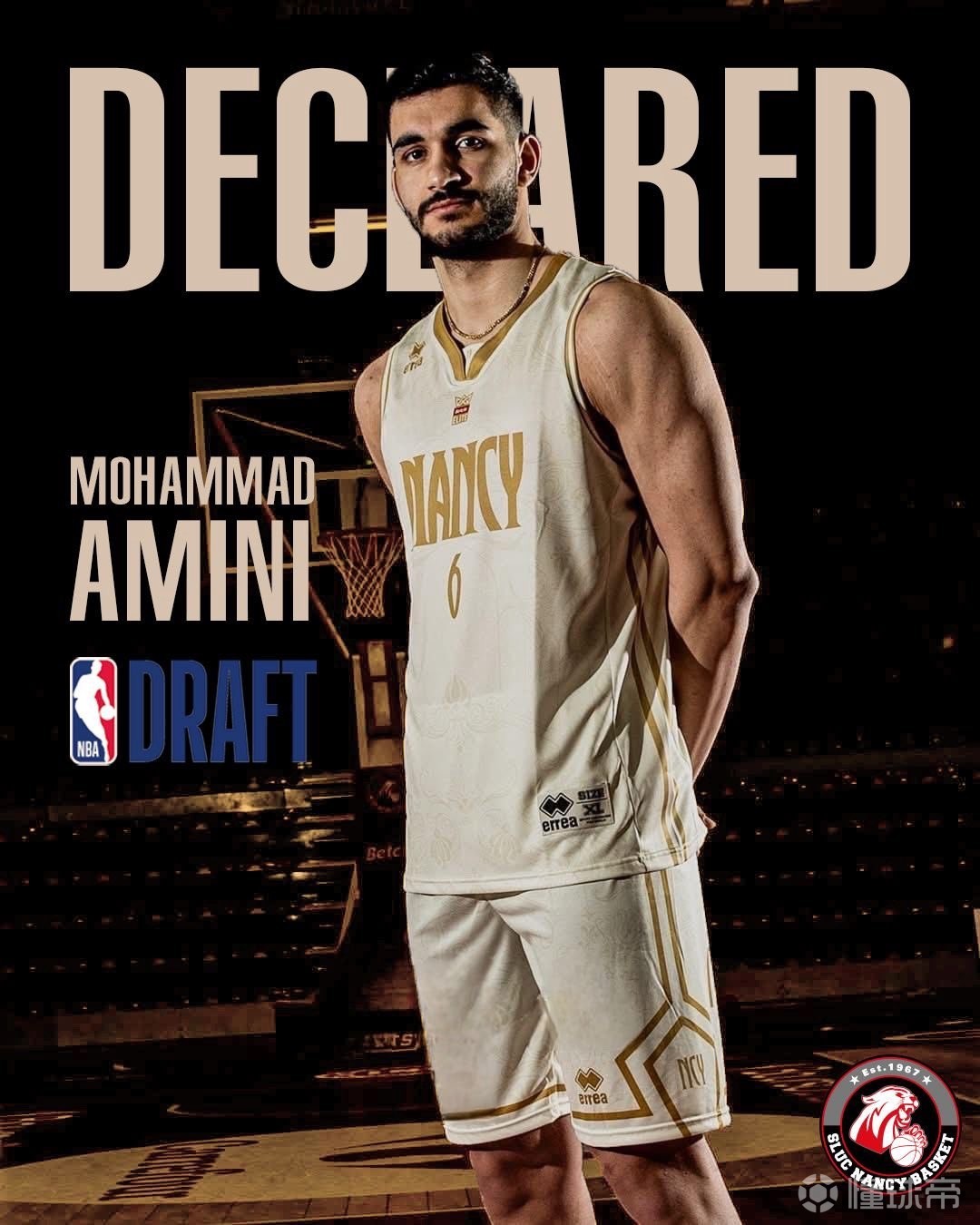 勇闯美利坚，官方：伊朗20岁前锋阿米尼将参加2026年NBA选秀